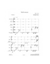 Multi-mesures | MERZET C.